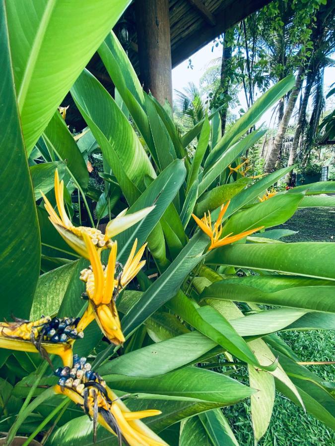 Nature Villa Unawatuna Galketiya Buitenkant foto